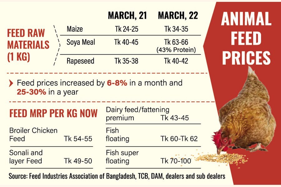 Animal feed prices escalate in Bangladesh market