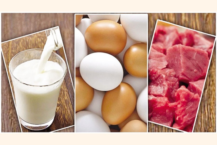 Govt starts sale of milk, eggs, meat at subsidised rates