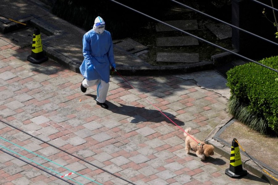 A person in personal protective equipment (PPE) walks a dog at a resident community, as the second stage of a two-stage lockdown has been launched to curb the spread of the coronavirus disease (COVID-19) in Shanghai, China April 3, 2022. REUTERS/Aly Song