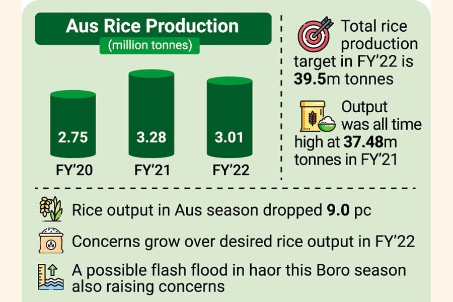 Rice output in Aus season drops