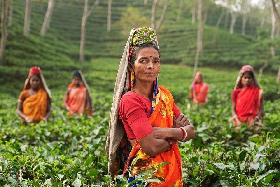 Some Bhojpuri tea workers at Ranigar Tea Estate in Sylhet’s Sreemangal. Photo – Simon Urwin