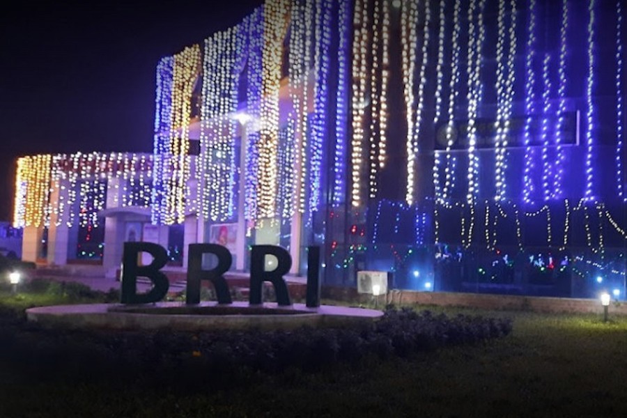 Bangladesh opens first rice museum