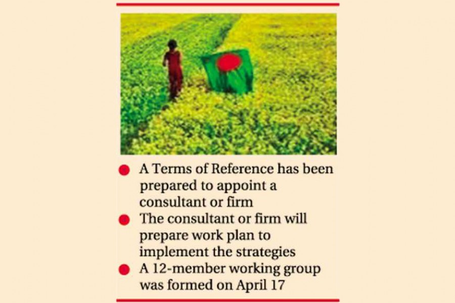 Branding Bangladesh abroad: Govt moves to shape strategies