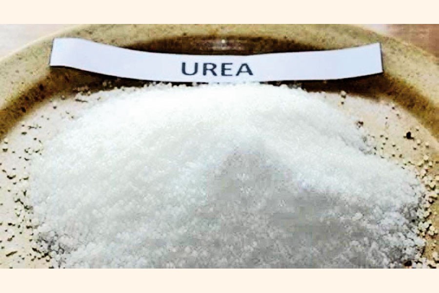 Largest urea plant project gets impetus