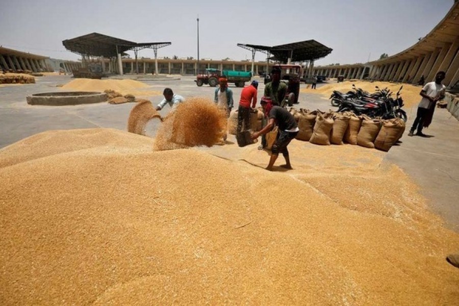 Workers fill sacks with wheat at the market yard of the Agriculture Product Marketing Committee (APMC) on the outskirts of Ahmedabad, India, May 16, 2022. REUTERS/Amit Dave