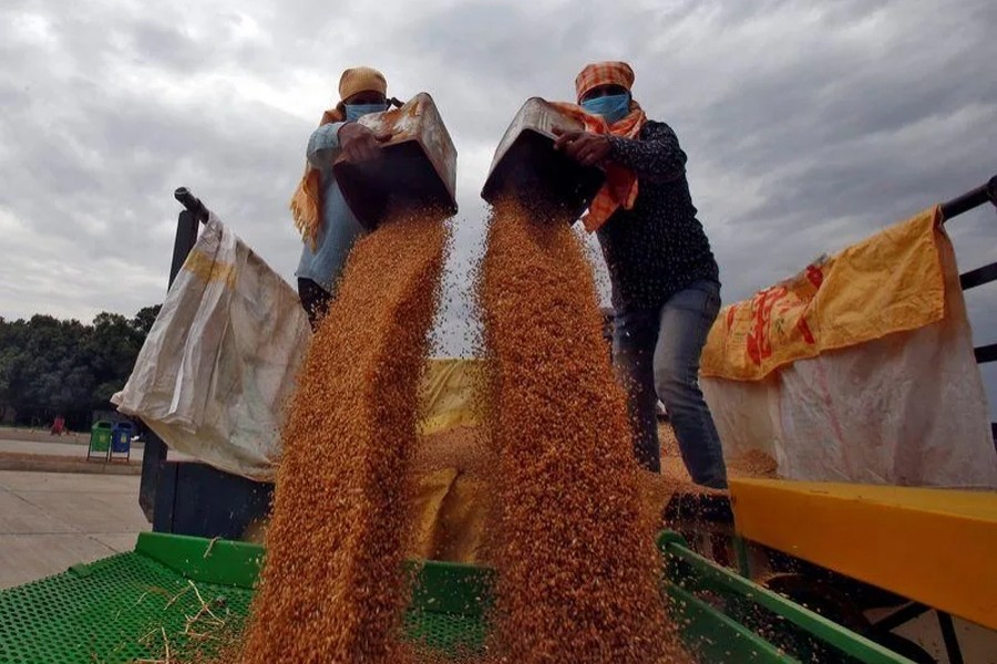 Labourers wearing masks shift wheat crop from a trolley to remove dust from the crop at a wholesale grain market in Chandigarh, India — Reuters/Files