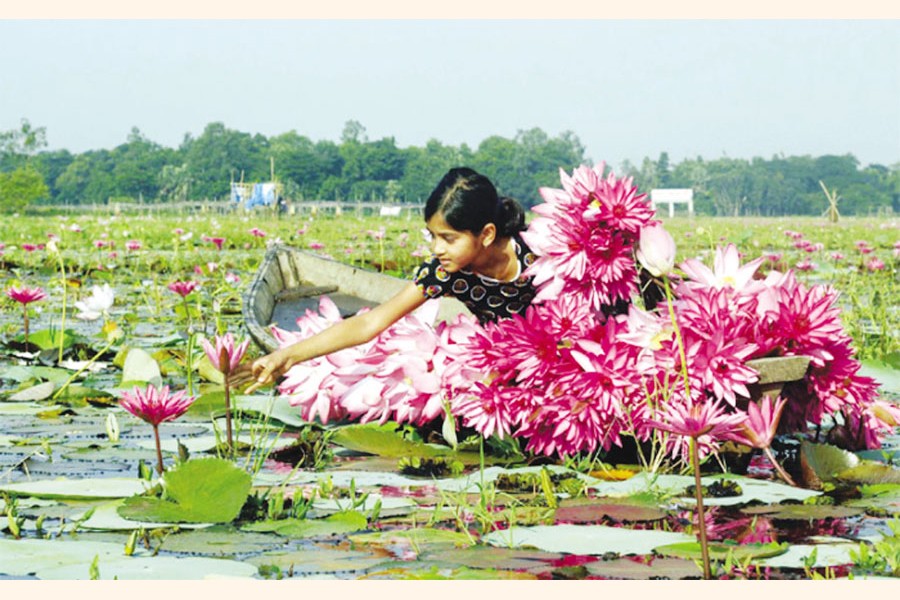 When flooding of low lands was natural