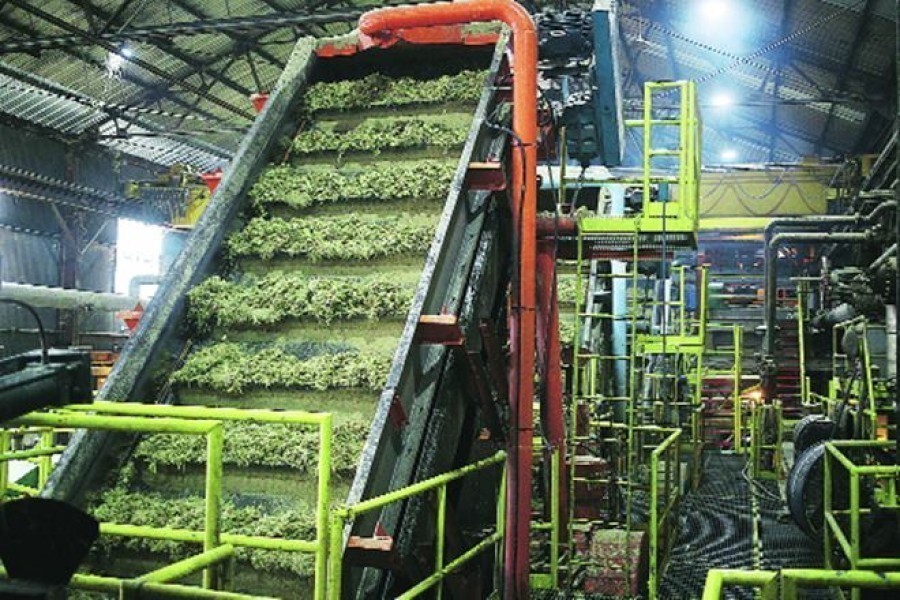 Foreign investment in sugar mills: Large loans, sovereign guarantee big barriers