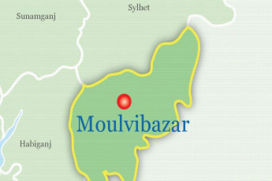 SI returning with accused following drive killed in Moulvibazar road crash