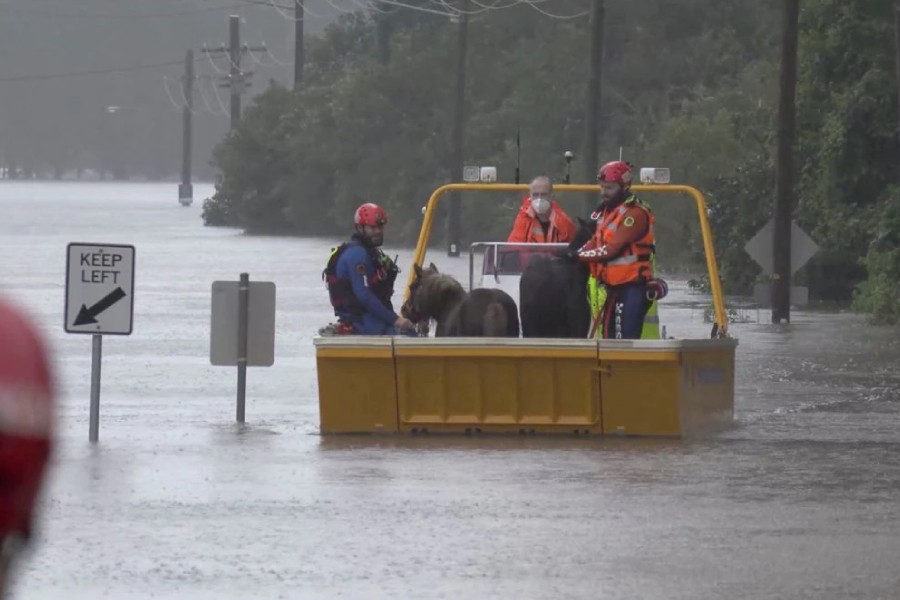 An emergency crew rescues two ponies from a flooded area in Milperra, Sydney metropolitan area, Australia July 3, 2022 in this screen grab obtained from a handout video. NSW State Emergency Service/Handout via REUTERS