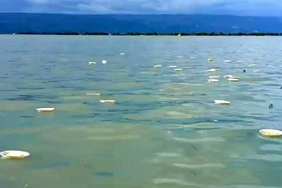 Tourists litter Tanguar Haor with plastic waste