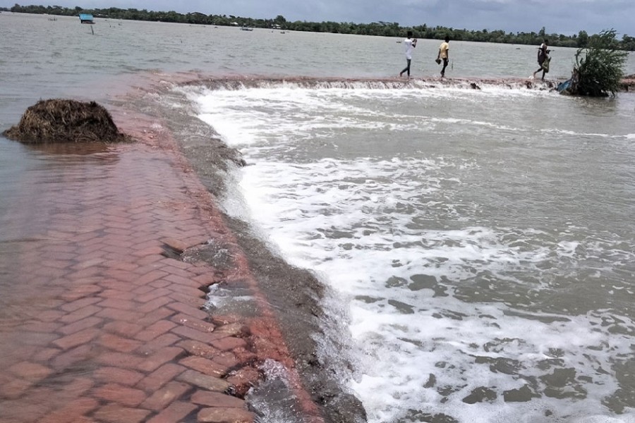 Flood washes away Tk82.8m worth of fish, crab, shrimp in Satkhira   