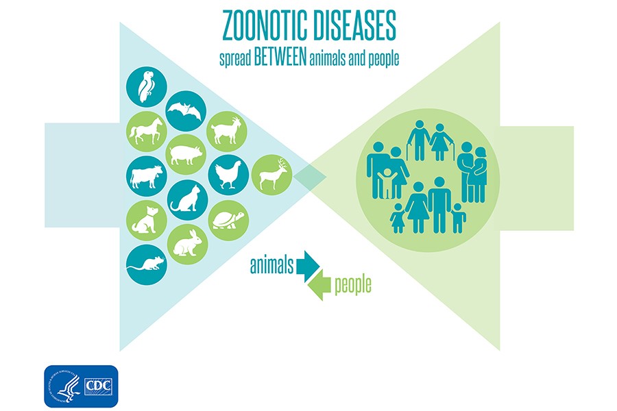 BSMMU VC warns against possible transmission of zoonotic virus in Bangladesh