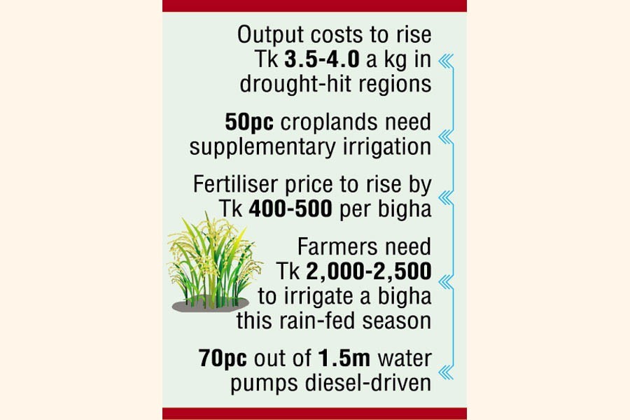 Aman value chain takes a hit from oil price hikes