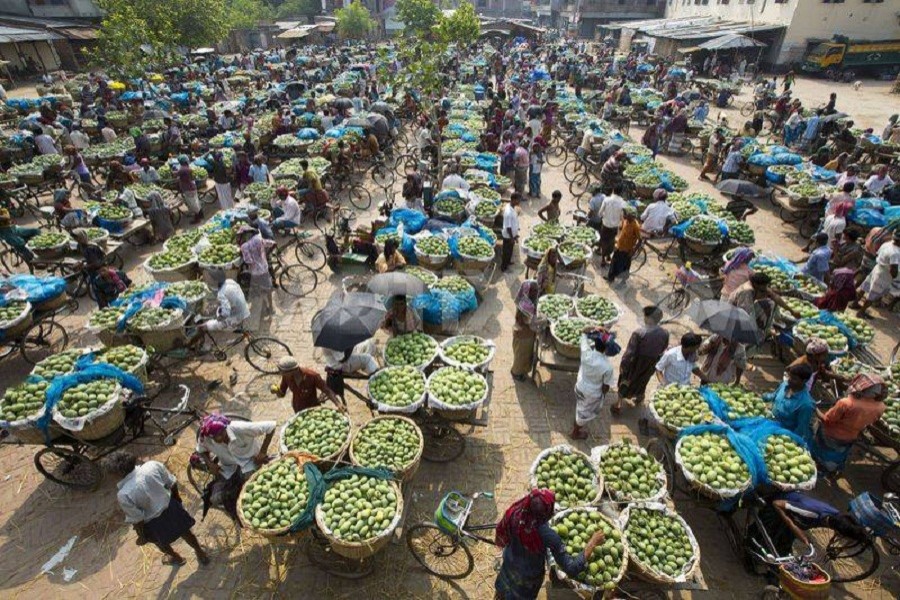 Kansat: The largest mango market in Bangladesh