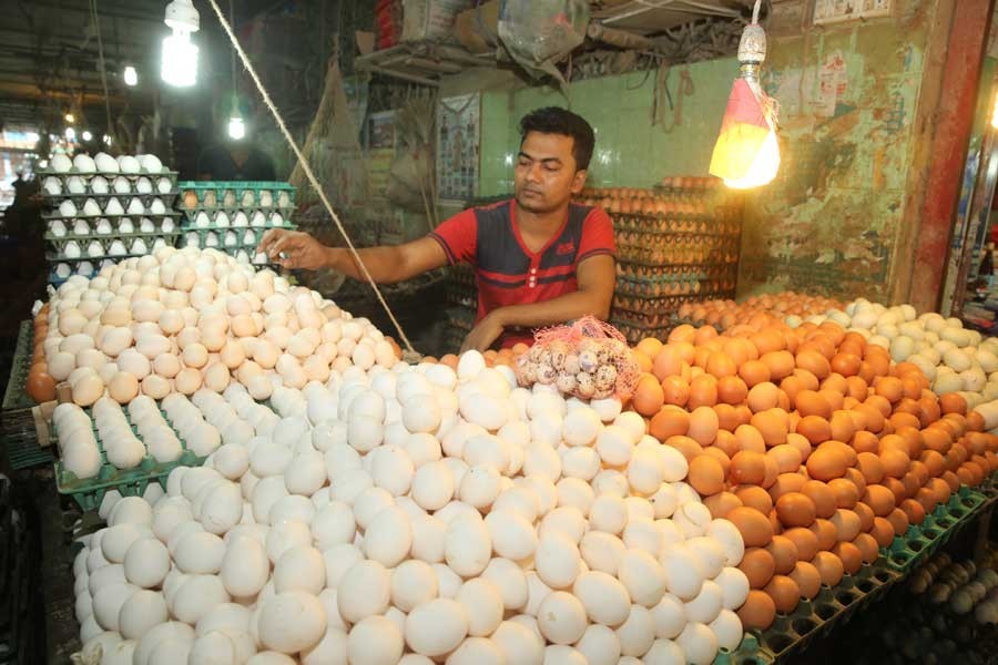 Farm egg prices hike again to Tk 150 per dozen