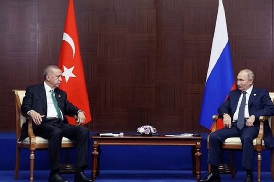 Putin puts 'gas hub' plan to Turkey's Erdogan