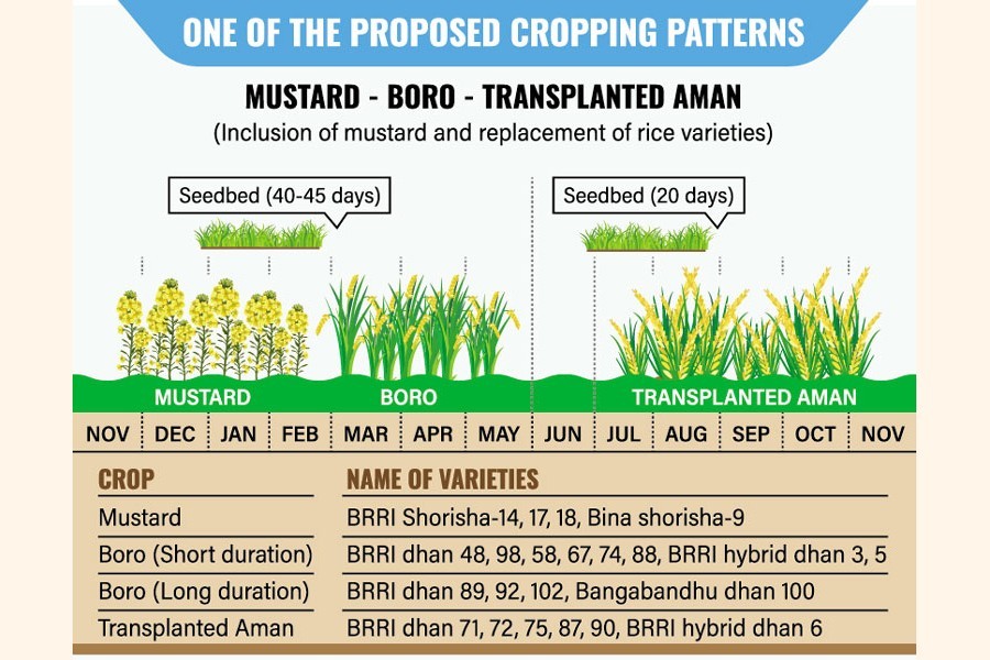 Use of new cropping patterns by FY '25