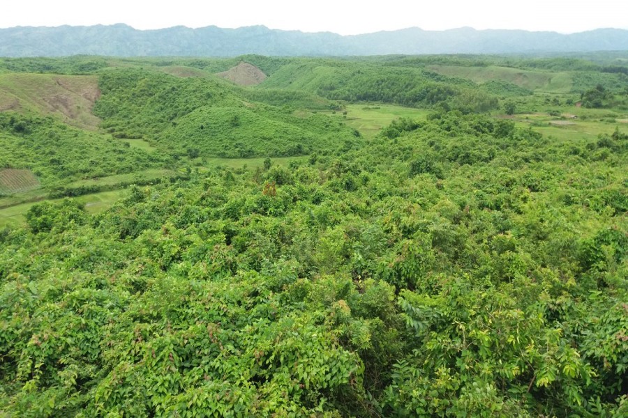 Tourists leaving Bandarban amid security drive to remove suspected militants, criminals