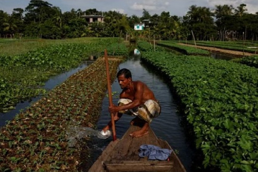 Mohammad Ibrahim, 48, irrigates his floating bed, at his farm in Pirojpur district, Bangladesh, August 16, 2022. REUTERS