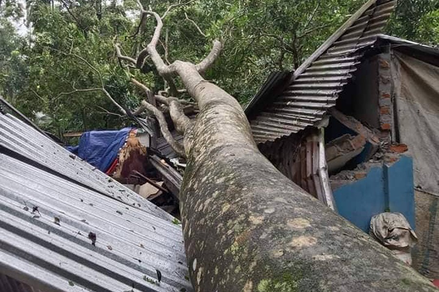 Villages in Dhania and Ratanpur under Bhola Sadar were devastated by Cyclone Sitrang. Houses, trees and electric poles were uprooted. The photo was taken on Tuesday morning — Focus Bangla photo