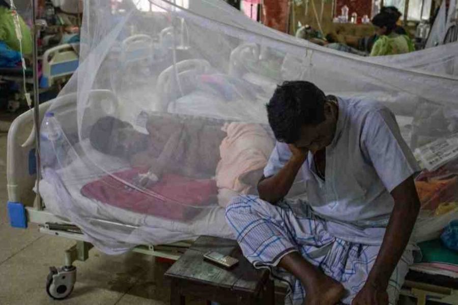 Dengue claims another life, 498 hospitalised in 24 hours 