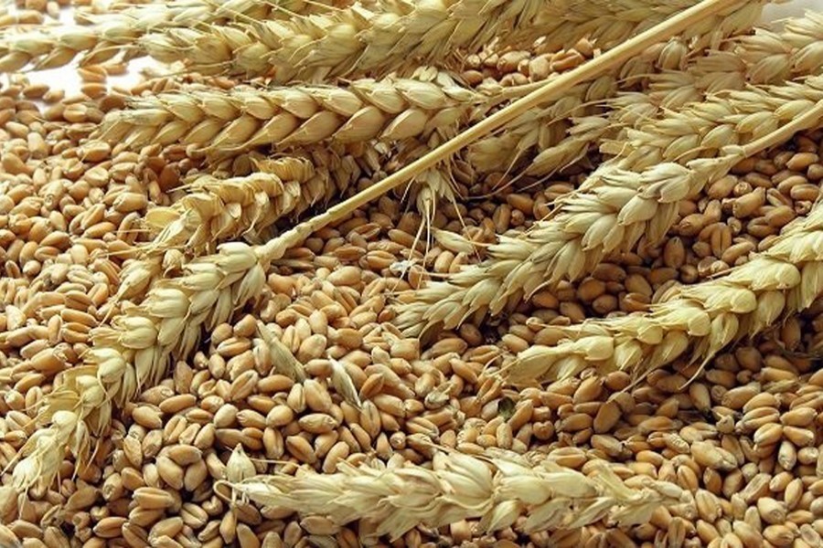 Flour, wheat prices decline in port city