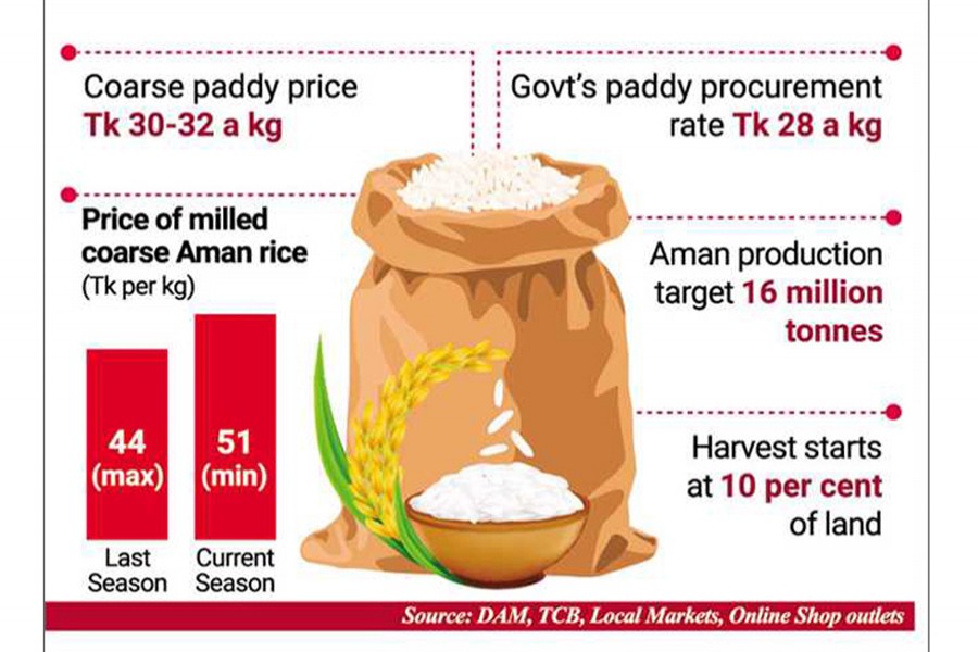 Paddy price stays at peak even amid Aman harvest