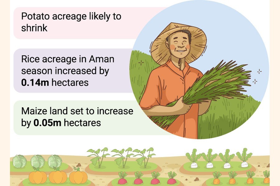 Rice, maize eat up veggie cropland