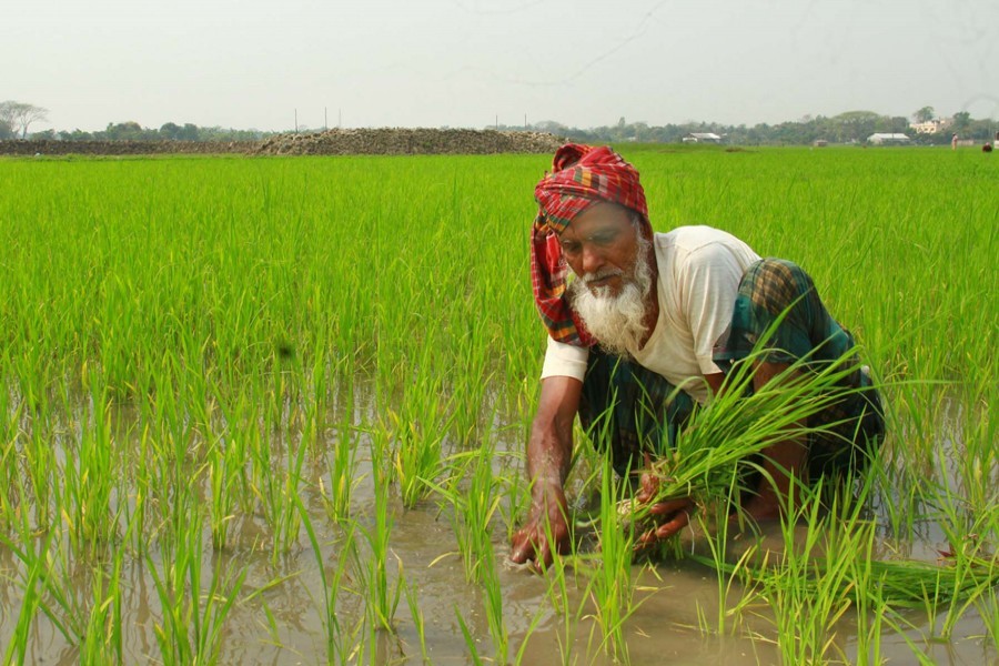 ফাইল ছবি (সংগৃহীত)