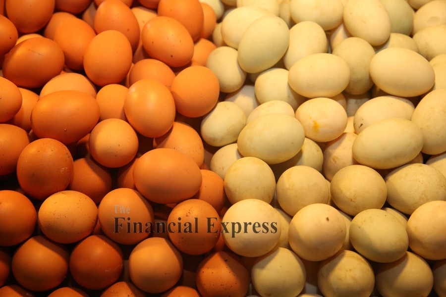 Egg import from India – yes or no 