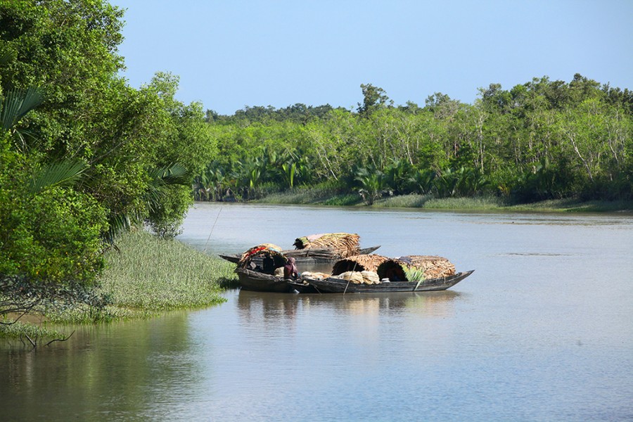 Rab launches special drive to free Sundarbans from robbers