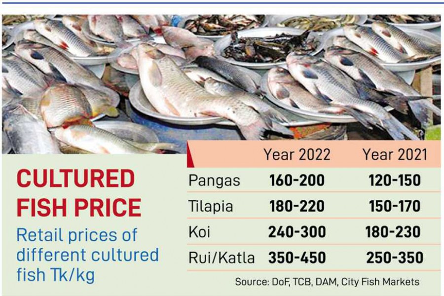 Cultured fishes dearer by 40pc in 2022