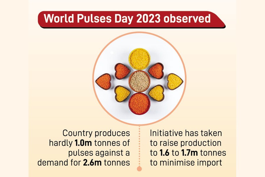 BD daily per capita pulses deficit 28 grams