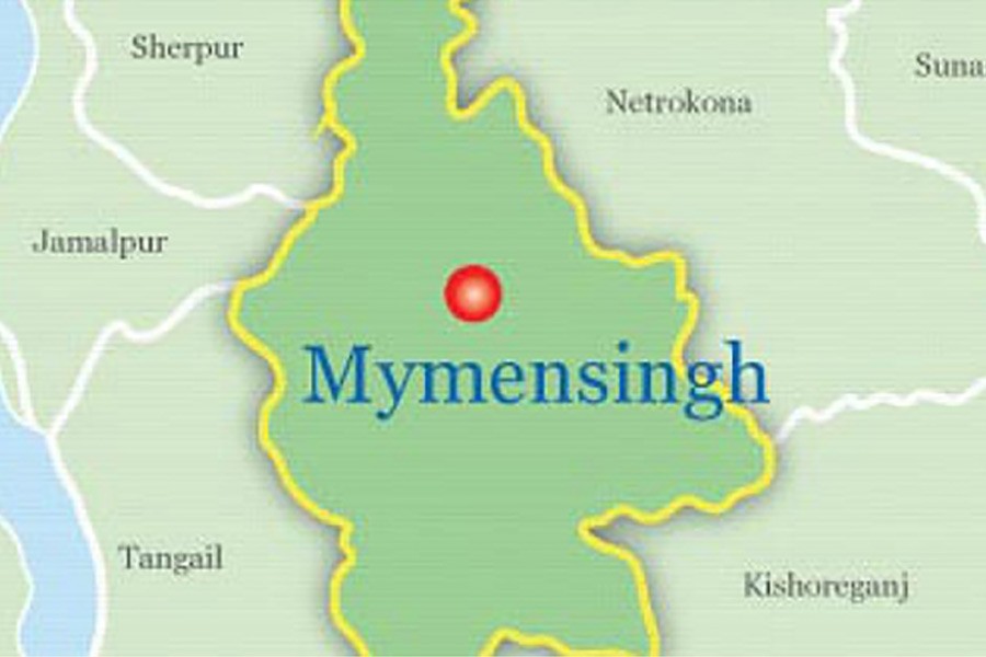 Explosion inside house in Mymensingh, 'militant suspect' dies