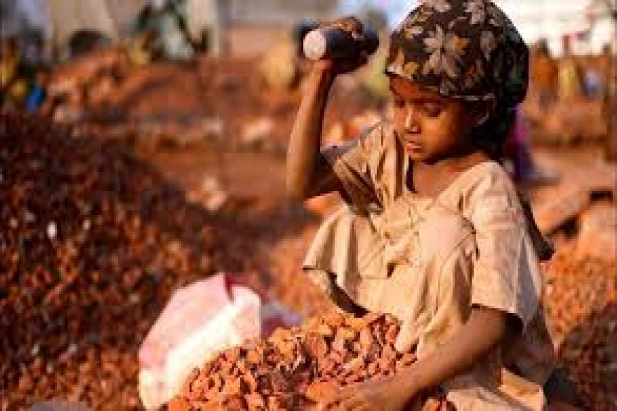 Child labour: A painful reality   