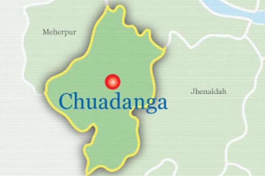 Woman dies in Chuadanga road accident
