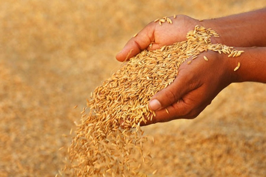 Cabinet purchase body endorses 300,000-tonne rice import