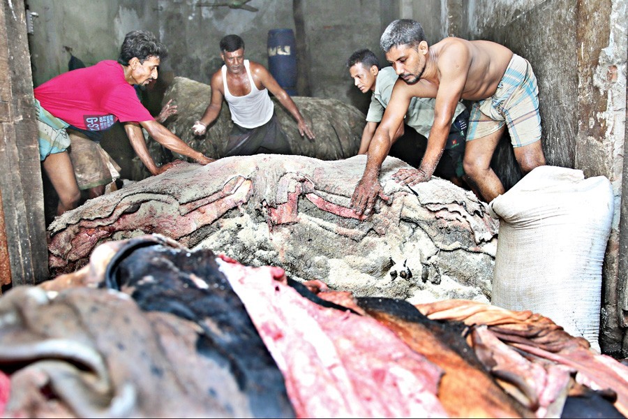 Workers applying salt to preserve rawhide of animals, sacrificed during Eid-ul-Azha, in a processing unit at Posta in Old Dhaka on Monday. — FE Photo by KAZ Sumon