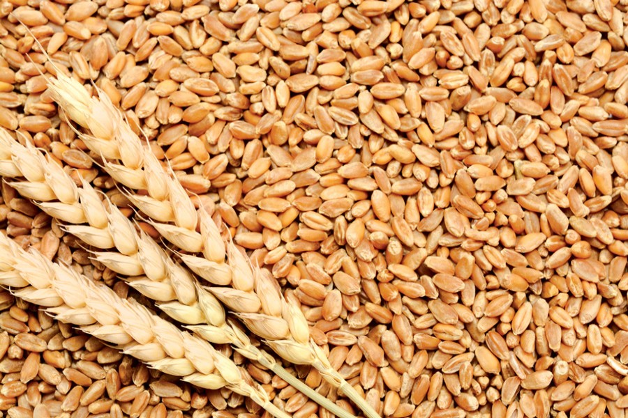 Govt set to import 0.2m tonnes of wheat from Russia
