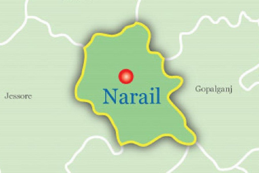 26 injured in Narail bus plunge