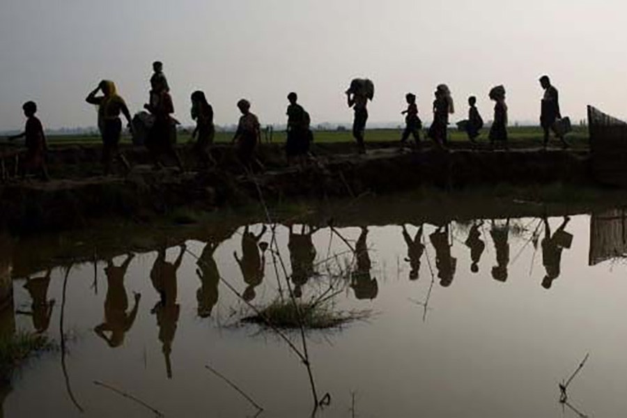 Members of Myanmar's Rohingya ethnic minority walk through rice fields after crossing the border into Bangladesh on September 05, 2017. 	— AP photo
