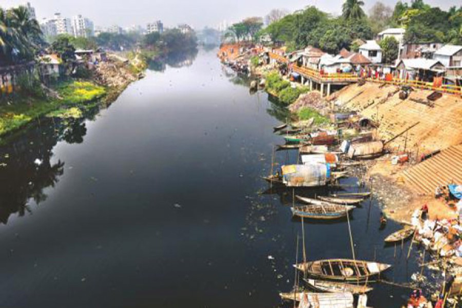 Pollution free water bodies must to boost fish output