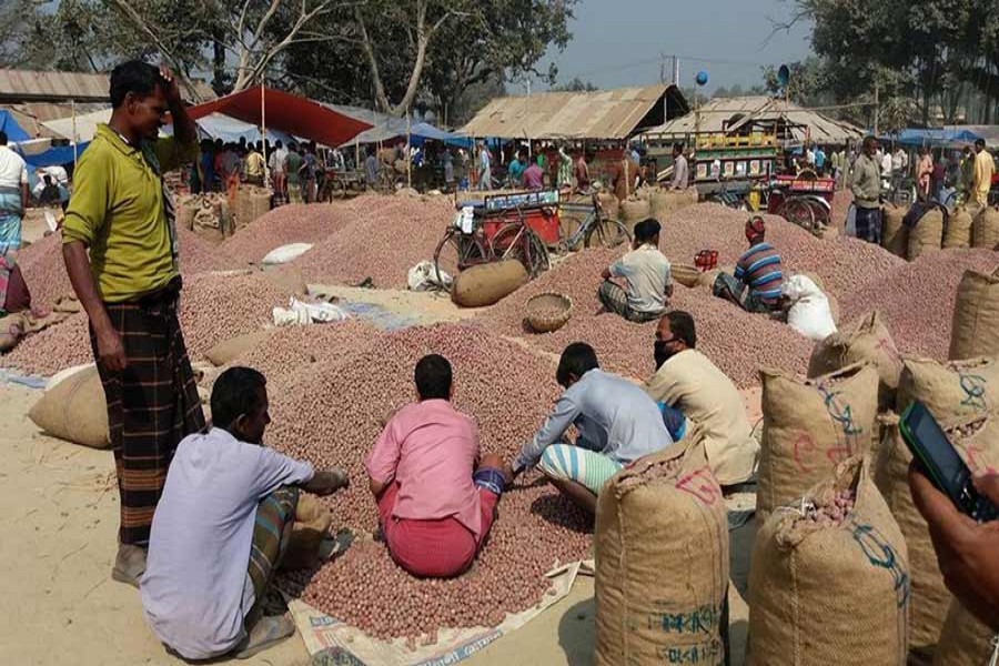 Labourers sorting potato before packaging at Kalai of Joypurhat on Wednesday.	— FE Photo