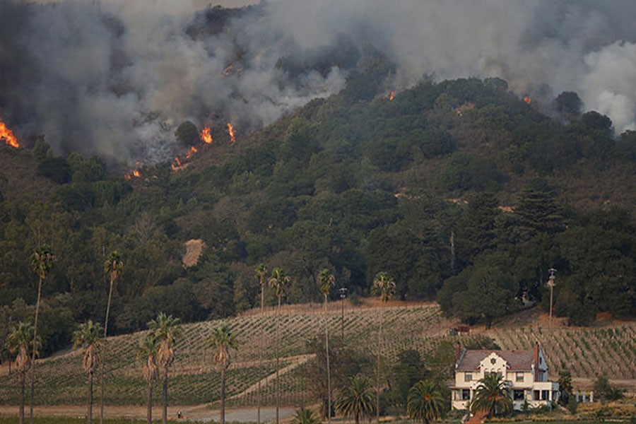 An out of control wildfire approaches Gundlach Bundschu winery. (Reuters Photo)
