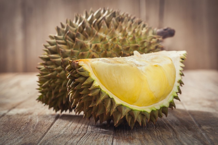 Scientists discover origin of durian's pungent odour