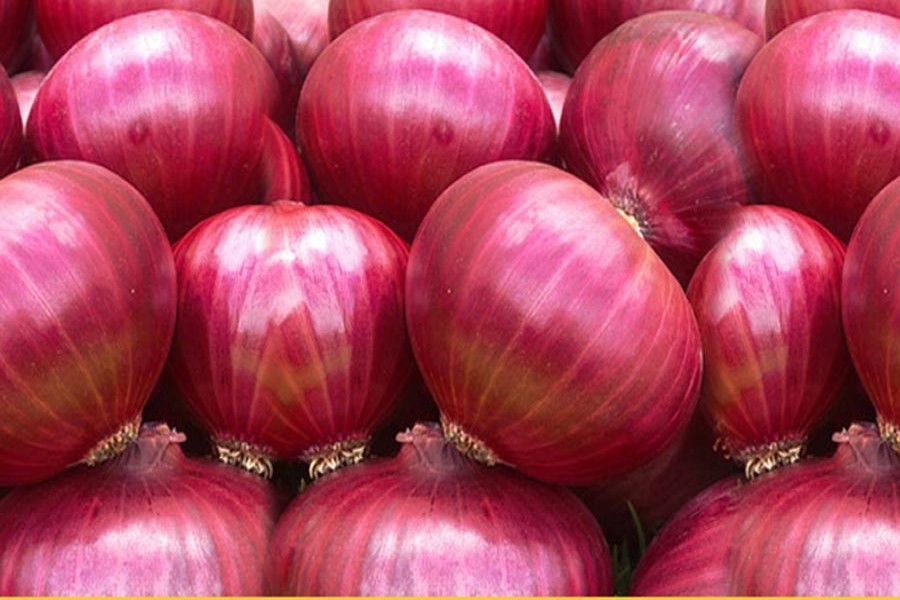 Onion prices hit sky high in Magura