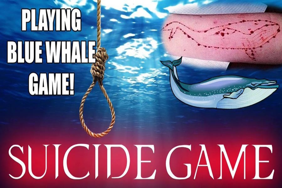 Please, stop the Blue Whale game