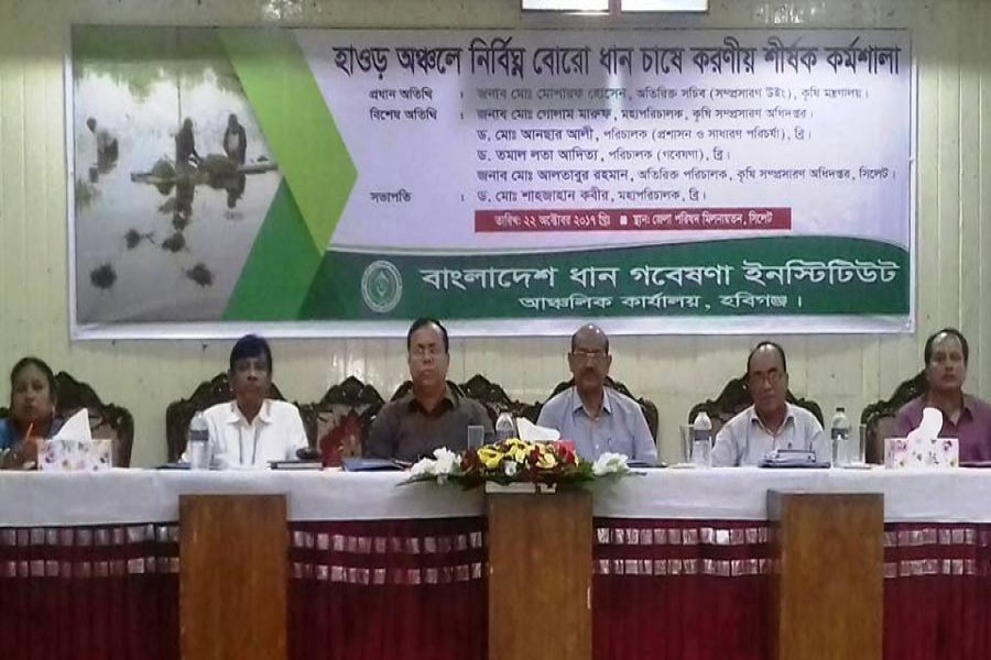 Workshop on risk-free Boro farming in haor region, organised by Bangladesh Rice Research Institute (BRRI), Habiganj regional centre, in progress at the auditorium of Sylhet district council office on Sunday.	— FE Photo