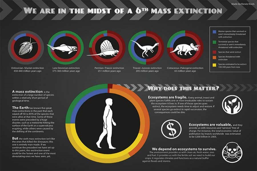 How far is the sixth mass extinction?